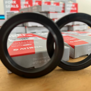 Guarnizione standard dell'olio